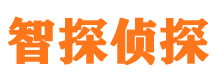 秦淮寻人公司